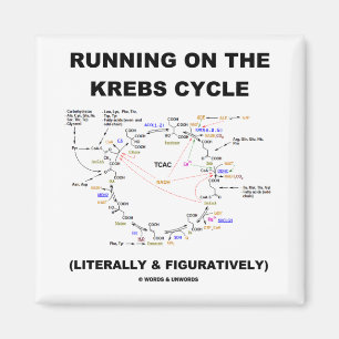 Laufen auf den Krebs Zyklus (Wissenschafts-Spaß) Magnet