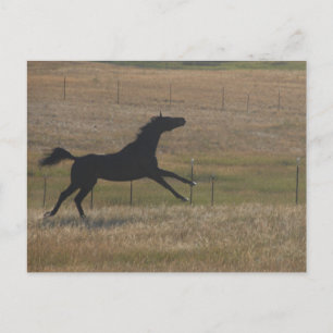 Laufen mit der Wind-Postkarte Postkarte