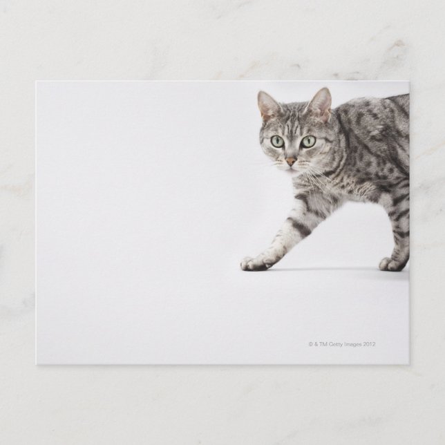Laufen Postkarte (Vorderseite)