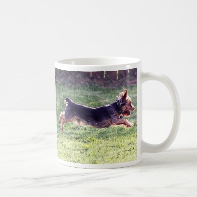 Laufen Yorkshires Terrier Tasse (Rechts)