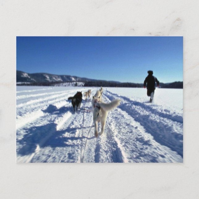 Laufend Postkarte (Vorderseite)