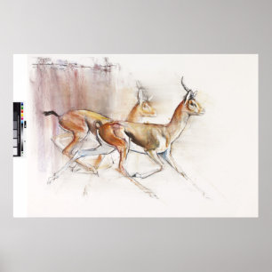Laufende arabische Gazellen 2010 Poster