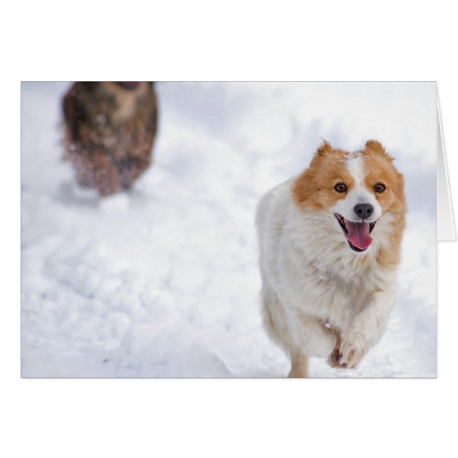 Laufende Hunde (Vorderseite (Horizontal))