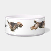 Laufende Hundeschüssel Walisers Terrier