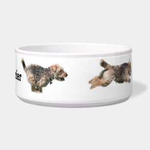 Laufende Hundeschüssel Walisers Terrier Napf
