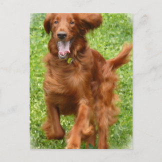 Laufende irische Postkarte