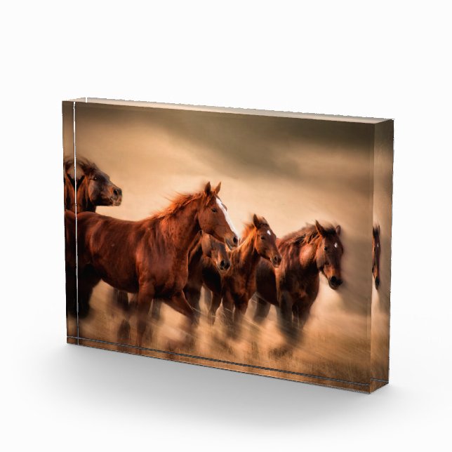 Laufende Pferde Fotoblock (Rechts)