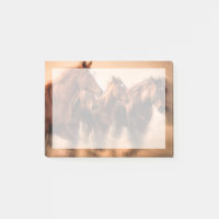 Laufende Pferde, Weichheit und fliegende Mähne