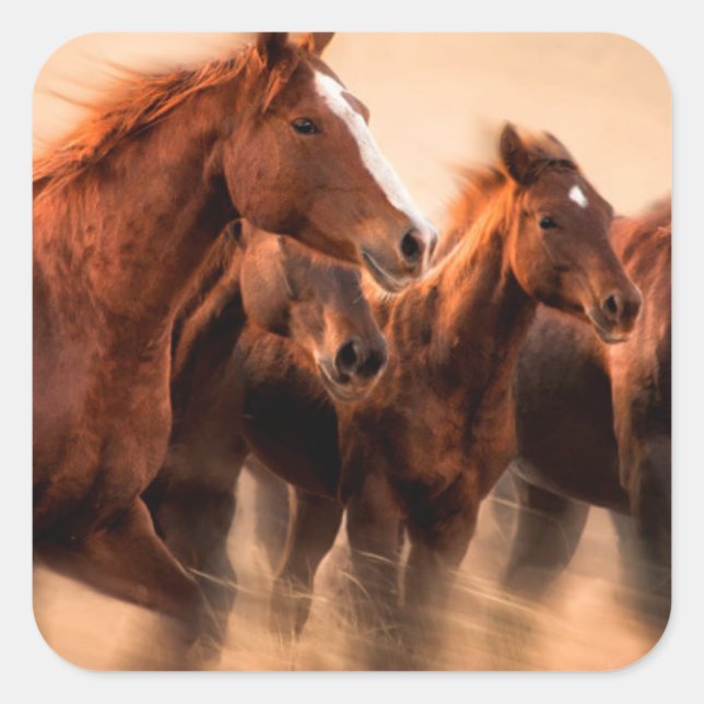 Laufende Pferde, Weichheit und fliegende Mähne Quadratischer Aufkleber (Vorderseite)