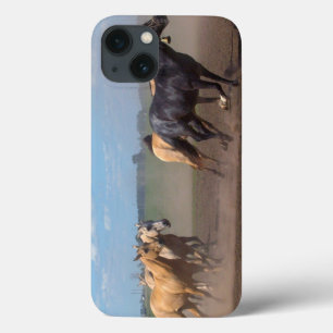 Laufende Pferdeherde Case-Mate iPhone Hülle