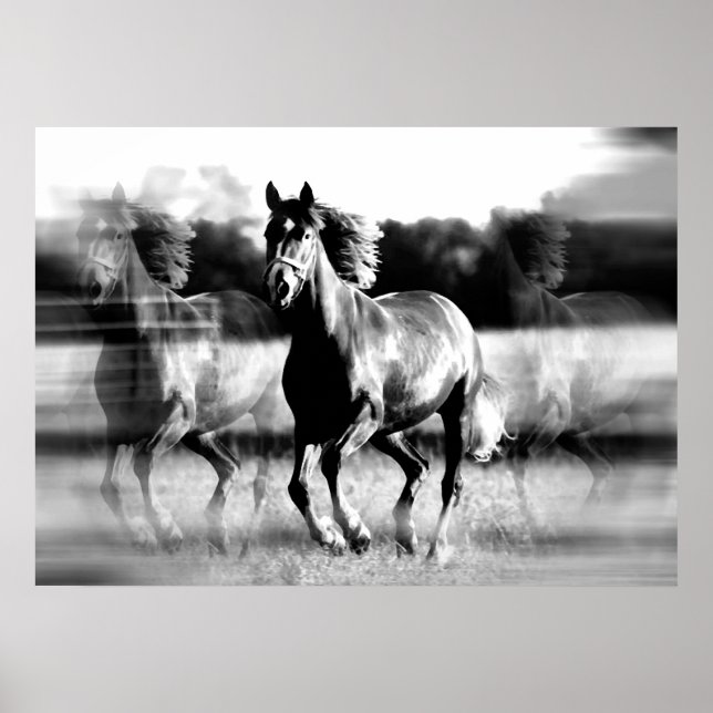 Laufende Pferdeposter-Printwerbung - B&W Pferdepla Poster (Vorne)