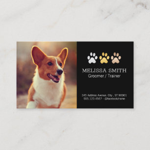 Laufender Hund Dog Trainer und Groomer Appt Terminkarte