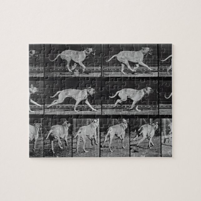 Laufender Hund, überziehen 707 "von der Puzzle (Horizontal)