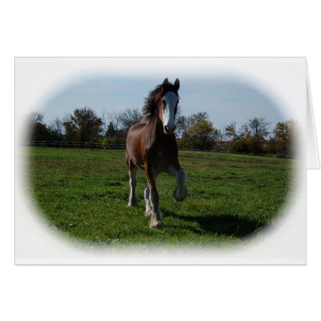 Laufendes Clydesdale (Vorderseite (Horizontal))