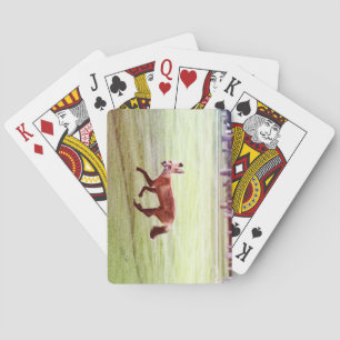 laufendes Foto von Rotfuchs Spielkarten