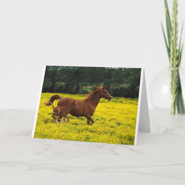 Laufendes freies karte (Vorderseite)