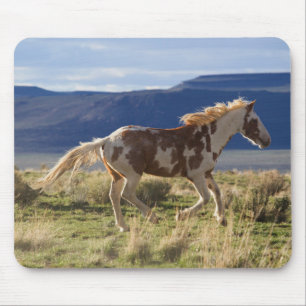 Laufendes Hengst, Steens Mountains, Oregon Mousepad