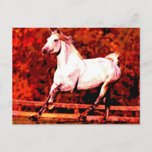 Laufendes Pferd Postkarte