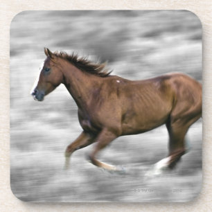Laufendes Pferd Untersetzer