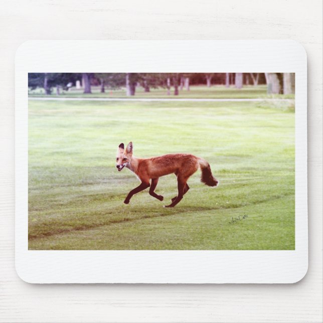 laufendes rotes Fuchs-Foto Mousepad (Vorne)