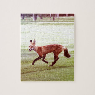laufendes rotes Fuchs-Foto Puzzle