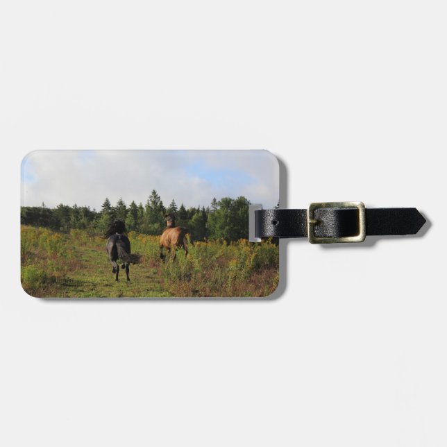 Laufendes wildes gepäckanhänger (Vorderseite horizontal)