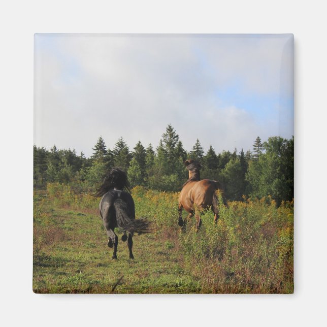 Laufendes wildes magnet (Vorne)