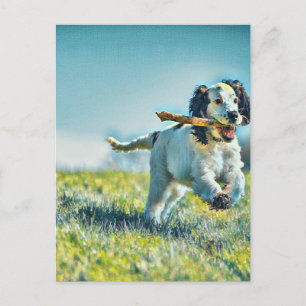 Laufhund mit Stock Postkarte