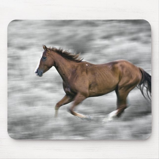 Laufpferd Mousepad (Vorne)