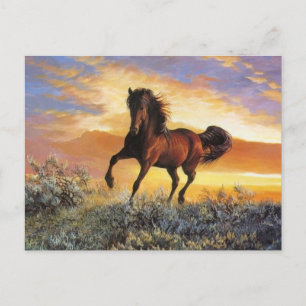 Laufpferd Postkarte