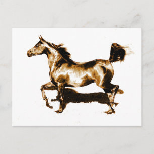 Laufpferd Postkarte