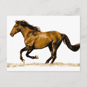 Laufpferd Postkarte
