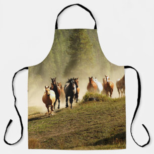 Laufpferde auf der Ranch von Montana Schürze