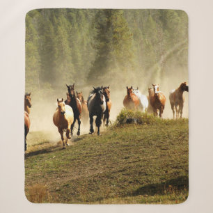 Laufpferde auf der Ranch von Montana Sherpadecke