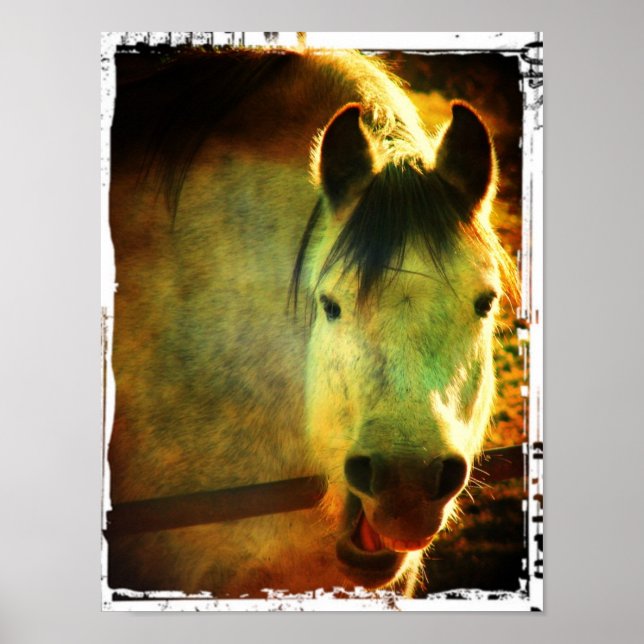 Laugh Poster (Vorne)