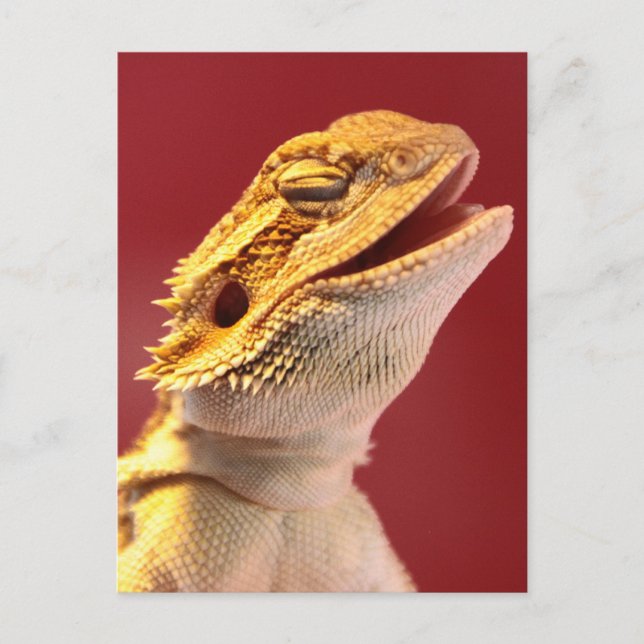 Laughing Bartded Dragon Postkarte (Vorderseite)