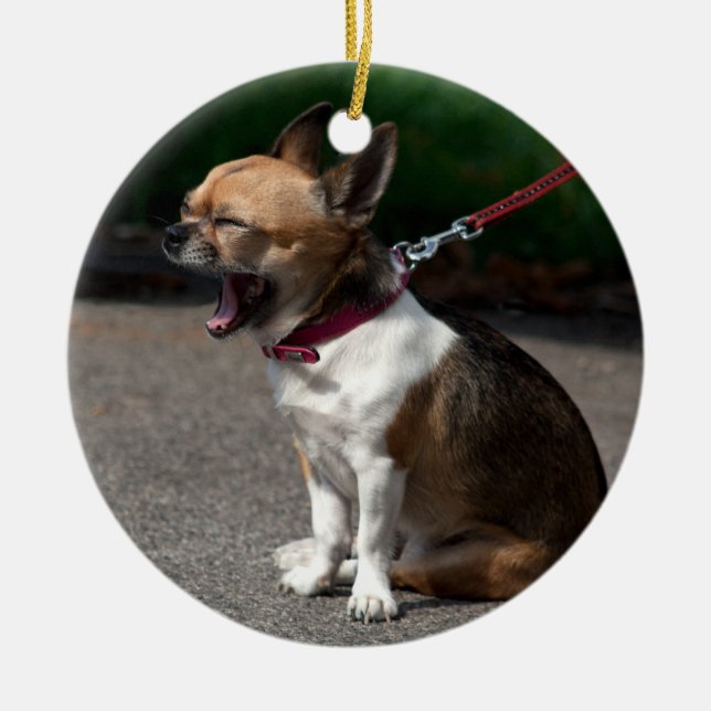 Laughing Chihuahua Keramikornament (Vorne)
