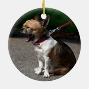 Laughing Chihuahua Keramikornament