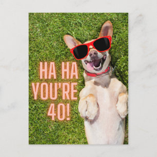 Laughing Dog 40th Birthday Postkarte