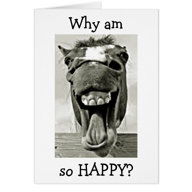 LAUGHING DONKEY SAYS YOU ARE "40" & I AM NOT! (Vorne)