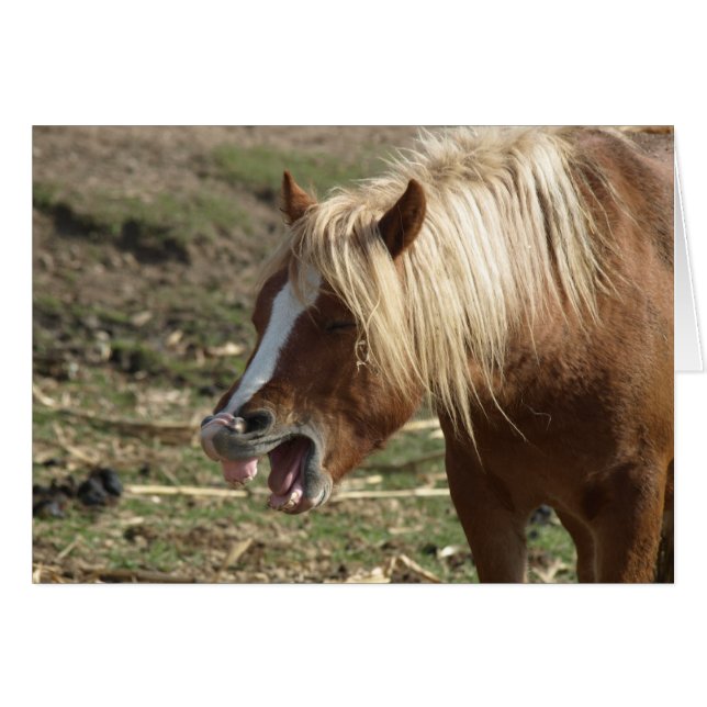 Laughing Horse (Vorderseite (Horizontal))