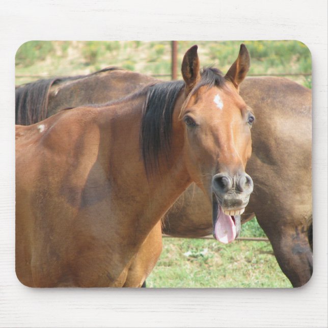 Laughing Horse Mousepad (Vorne)