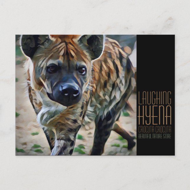 Laughing hyena [Postcard] Postkarte (Vorderseite)