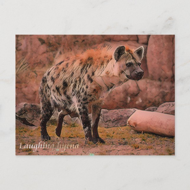 Laughing Hyena: Postcard Postkarte (Vorderseite)