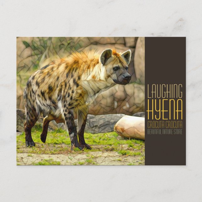 Laughing hyena [Postcard] Postkarte (Vorderseite)