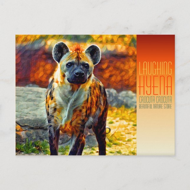 Laughing hyena [Postcard] Postkarte (Vorderseite)