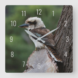 Laughing Kookaburra Bird Animal Tree Quadratische Wanduhr