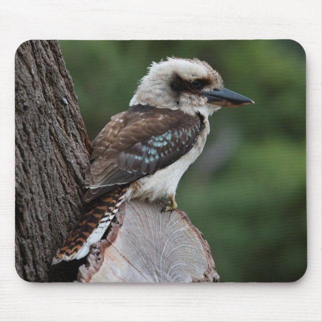 Laughing Kookaburra Mousepad (Vorne)