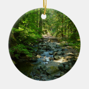 Laughingwater Creek at Mount Rainier National Park Keramikornament