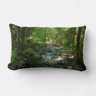 Laughingwater Creek im Mount Rainier National Park Lendenkissen